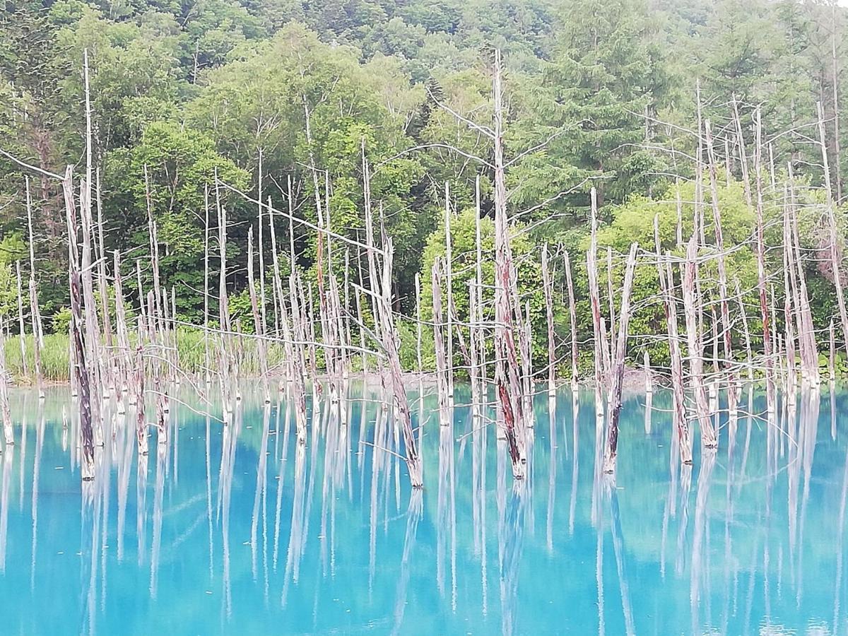 中富良野町 花藤旅馆酒店 外观 照片